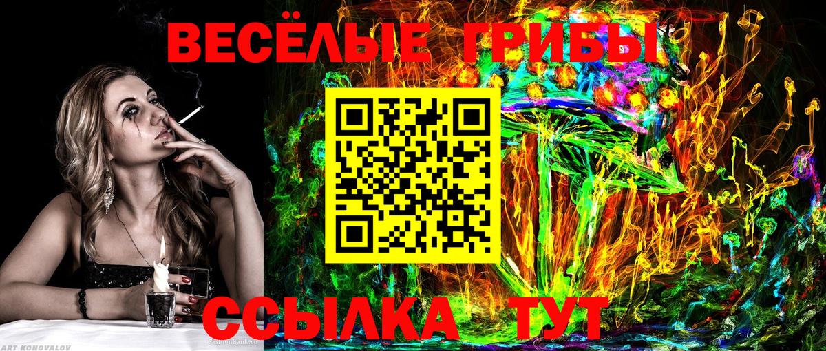 даркнет сайт  Вход с VPN  Галлюциногенные грибы мицелий  Дюртюли  Псилоцибиновые грибы Psilocybe 